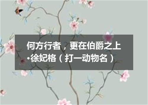 何方行者，更在伯爵之上·徐妃格（打一动物名）