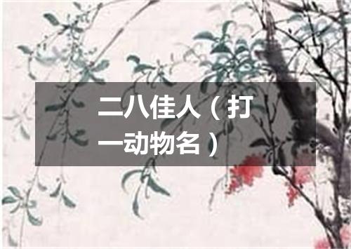 二八佳人（打一动物名）