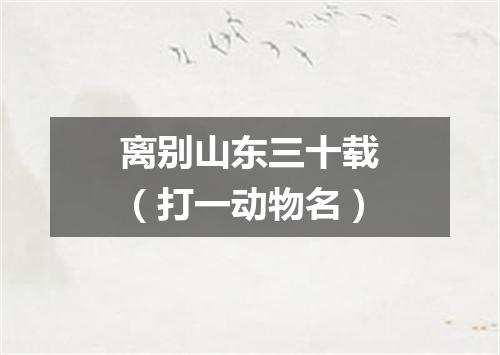 离别山东三十载（打一动物名）