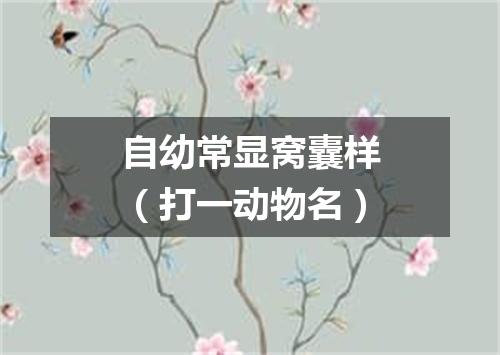 自幼常显窝囊样（打一动物名）