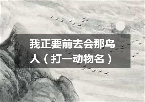 我正要前去会那鸟人（打一动物名）
