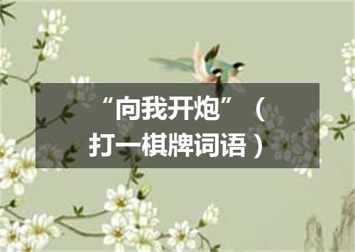 “向我开炮”（打一棋牌词语）