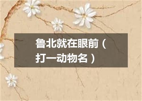 鲁北就在眼前（打一动物名）