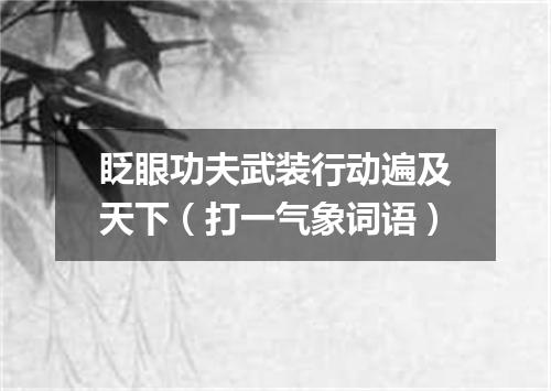眨眼功夫武装行动遍及天下（打一气象词语）