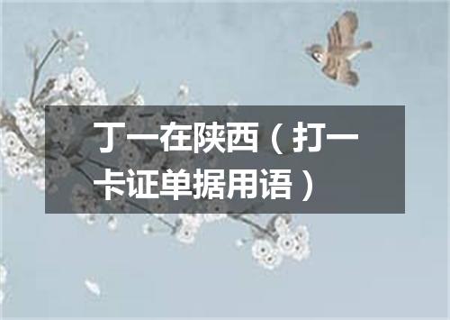 丁一在陕西（打一卡证单据用语）