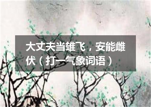 大丈夫当雄飞，安能雌伏（打一气象词语）