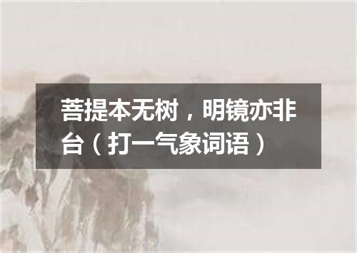 菩提本无树，明镜亦非台（打一气象词语）