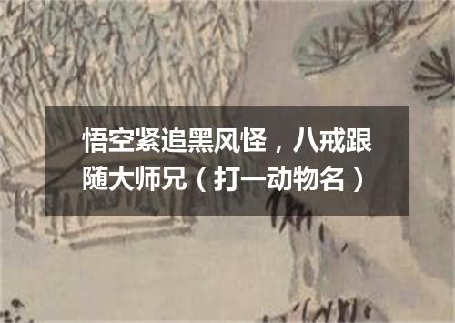 悟空紧追黑风怪，八戒跟随大师兄（打一动物名）