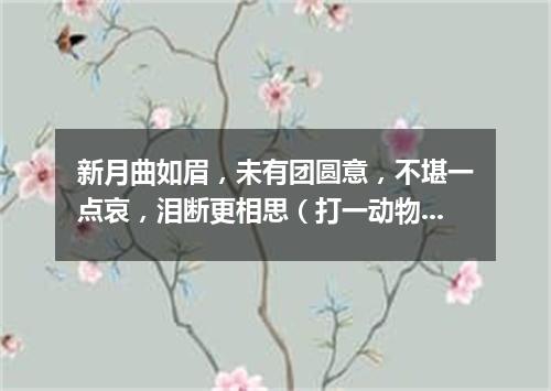 新月曲如眉，未有团圆意，不堪一点哀，泪断更相思（打一动物名）