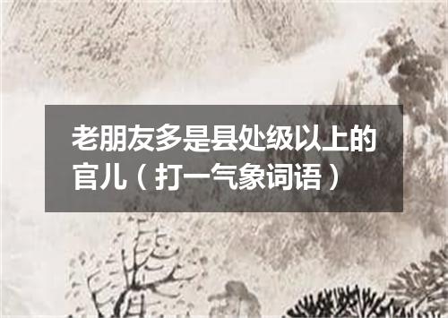 老朋友多是县处级以上的官儿（打一气象词语）