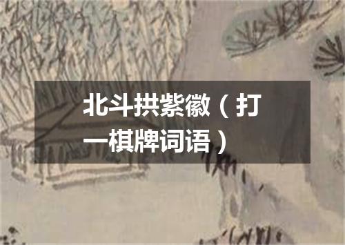 北斗拱紫徽（打一棋牌词语）