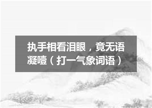 执手相看泪眼，竟无语凝噎（打一气象词语）
