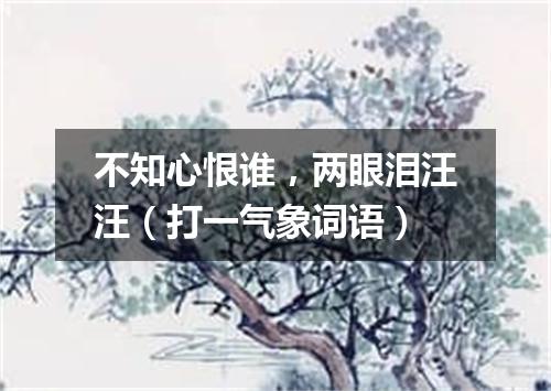 不知心恨谁，两眼泪汪汪（打一气象词语）