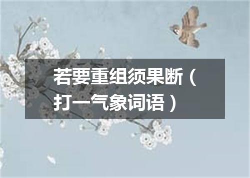 若要重组须果断（打一气象词语）