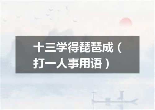 十三学得琵琶成（打一人事用语）