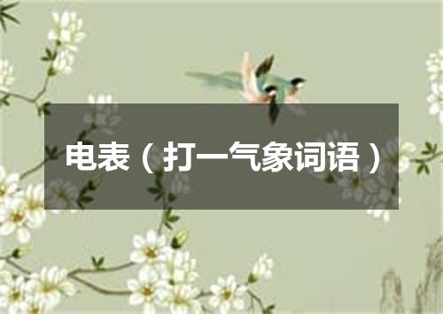 电表（打一气象词语）