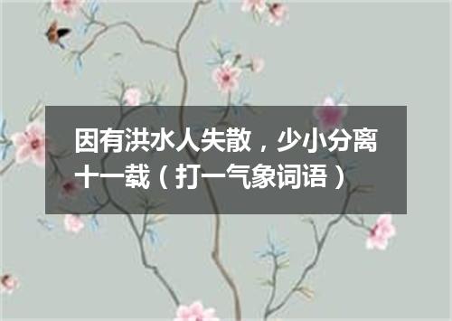因有洪水人失散，少小分离十一载（打一气象词语）