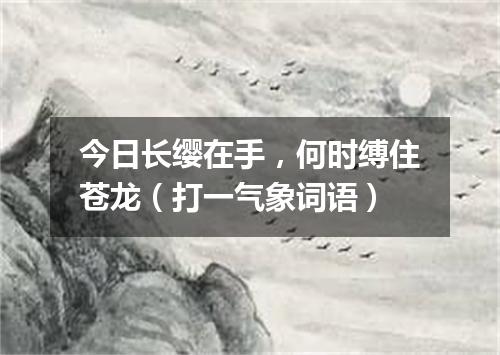 今日长缨在手，何时缚住苍龙（打一气象词语）
