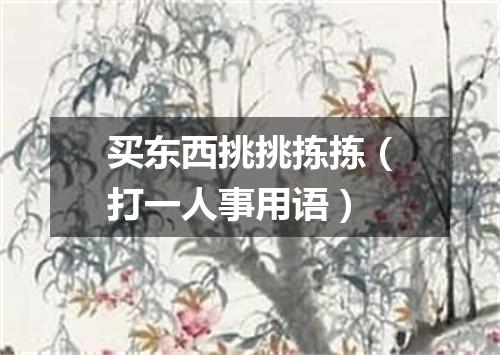 买东西挑挑拣拣（打一人事用语）
