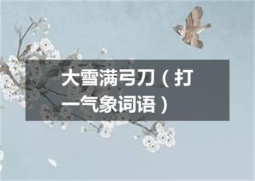 大雪满弓刀（打一气象词语）