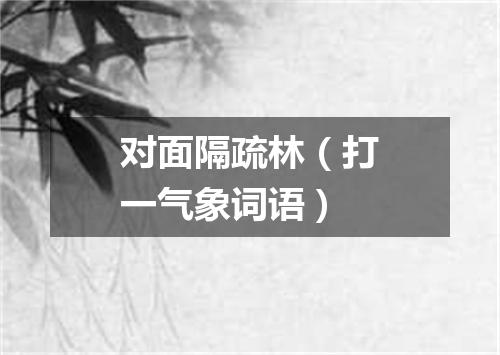 对面隔疏林（打一气象词语）