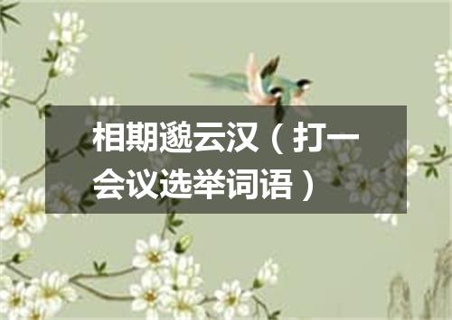 相期邈云汉（打一会议选举词语）