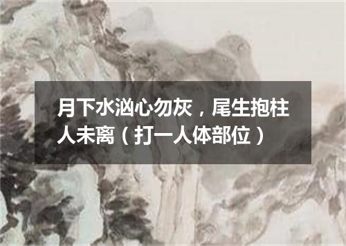 月下水汹心勿灰，尾生抱柱人未离（打一人体部位）
