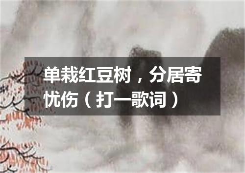 单栽红豆树，分居寄忧伤（打一歌词）