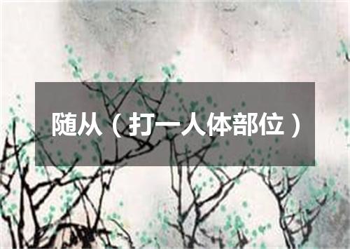 随从（打一人体部位）