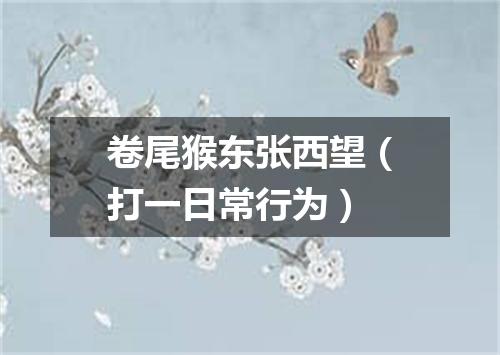 卷尾猴东张西望（打一日常行为）
