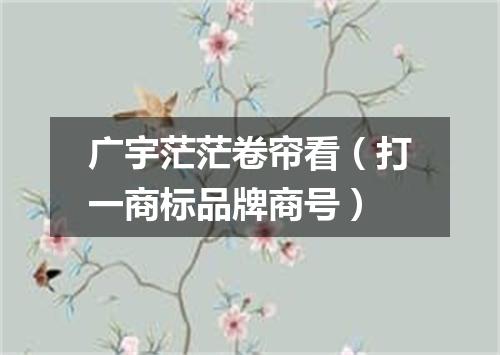 广宇茫茫卷帘看（打一商标品牌商号）