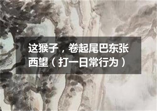 这猴子，卷起尾巴东张西望（打一日常行为）