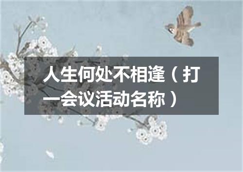 人生何处不相逢（打一会议活动名称）