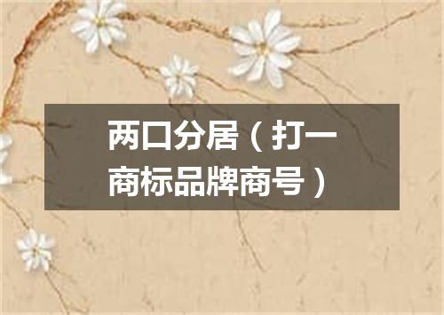两口分居（打一商标品牌商号）