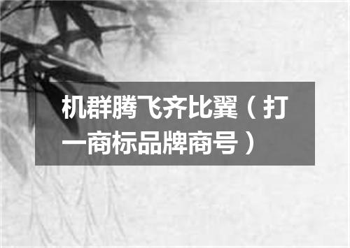 机群腾飞齐比翼（打一商标品牌商号）