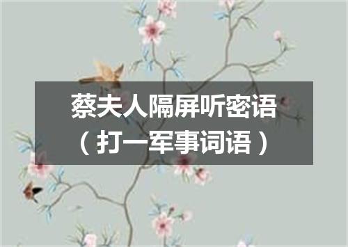 蔡夫人隔屏听密语（打一军事词语）