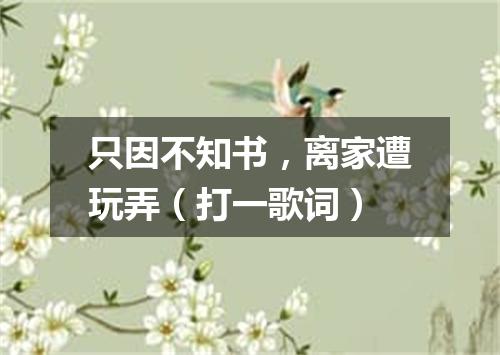 只因不知书，离家遭玩弄（打一歌词）