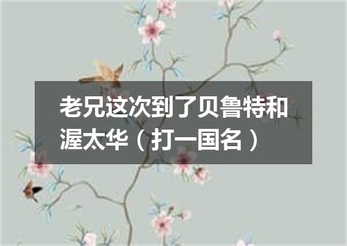 老兄这次到了贝鲁特和渥太华（打一国名）
