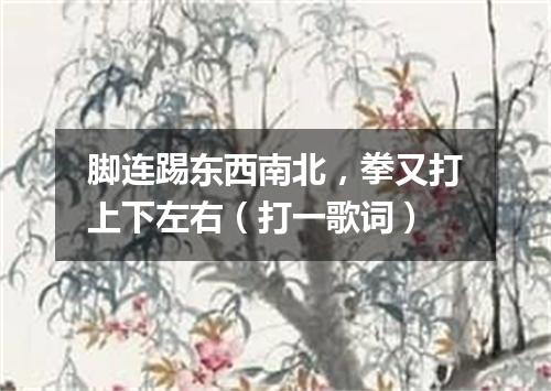 脚连踢东西南北，拳又打上下左右（打一歌词）
