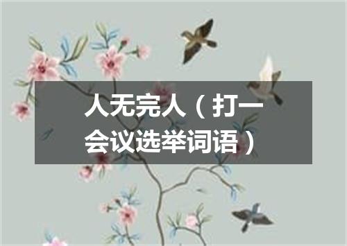 人无完人（打一会议选举词语）