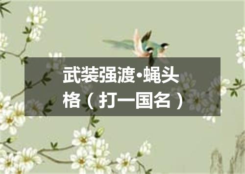 武装强渡·蝇头格（打一国名）