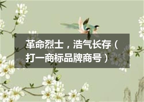 革命烈士，浩气长存（打一商标品牌商号）