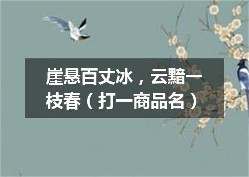 崖悬百丈冰，云黯一枝春（打一商品名）