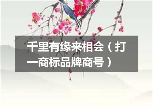千里有缘来相会（打一商标品牌商号）