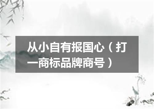 从小自有报国心（打一商标品牌商号）