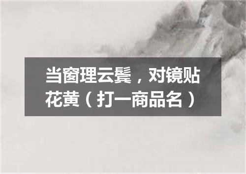 当窗理云鬓，对镜贴花黄（打一商品名）
