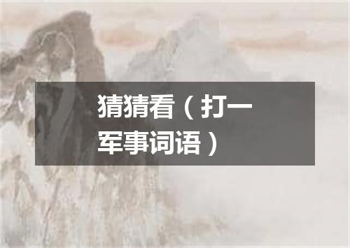 猜猜看（打一军事词语）