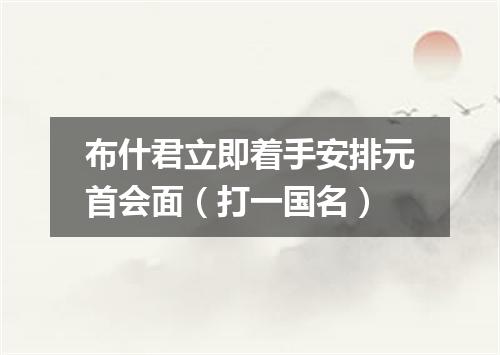布什君立即着手安排元首会面（打一国名）