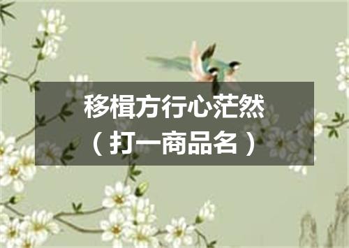 移楫方行心茫然（打一商品名）