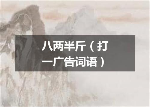 八两半斤（打一广告词语）